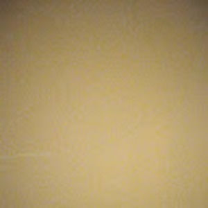 Meet your Posher, C a r l y